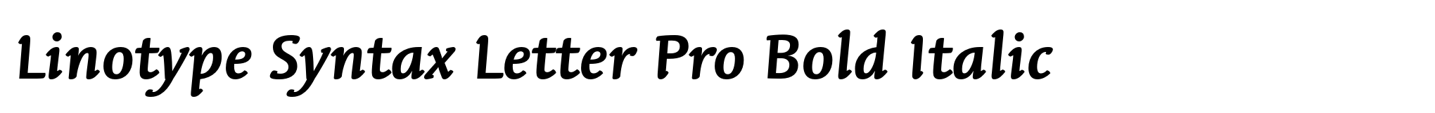 Linotype Syntax Letter Pro Bold Italic image